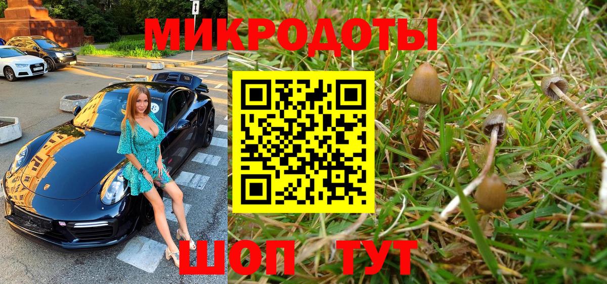 Псилоцибиновые грибы Cubensis Омск