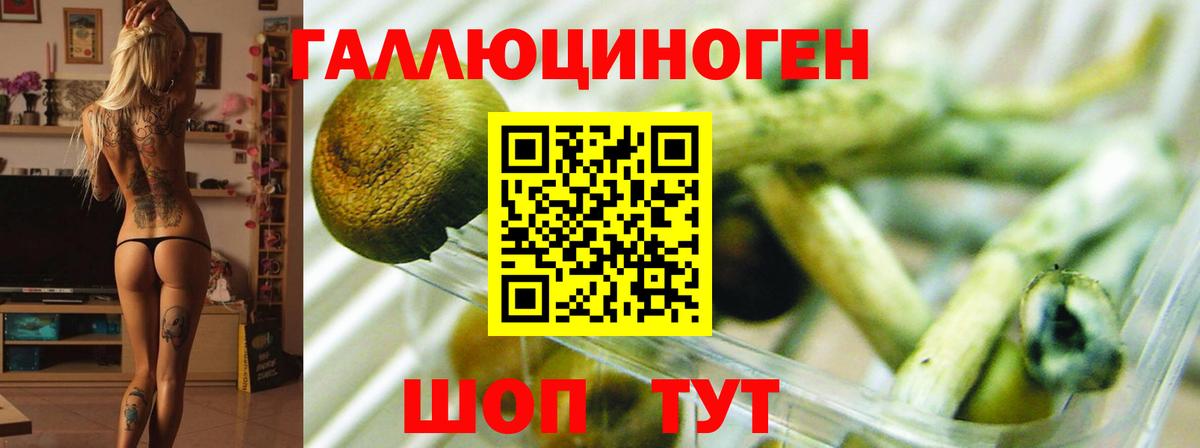 Псилоцибиновые грибы мицелий  Вход с VPN  Омск 